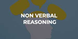 Non-Verbal Reasoning activity | English Medium Schools in Mehsana